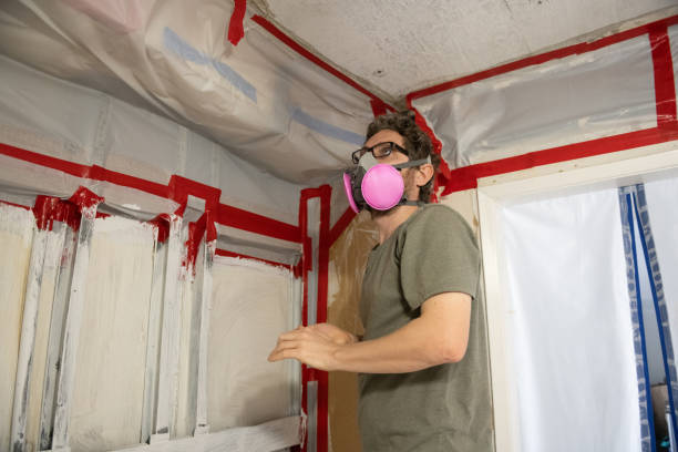 Best Mold Documentation for Insurance Claims  in St Bonaventure, NY