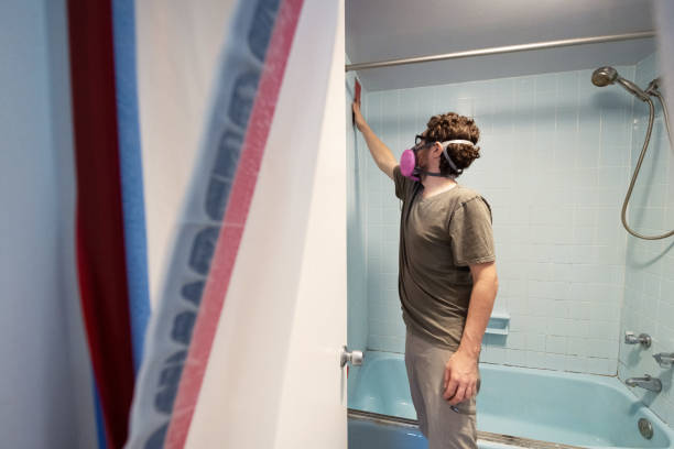 St Bonaventure, NY Mold Removal Company