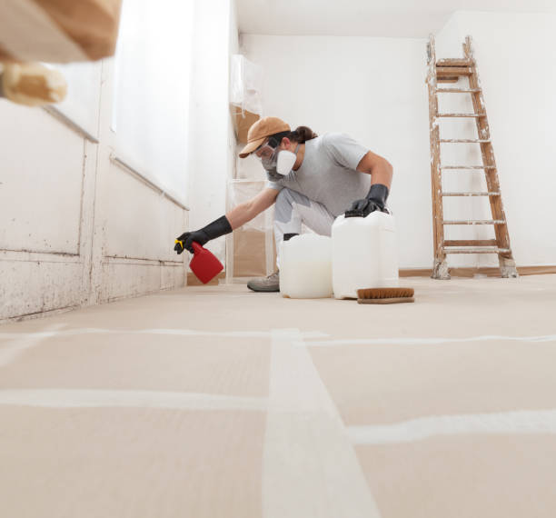 Best Crawl Space Mold Remediation  in St Bonaventure, NY
